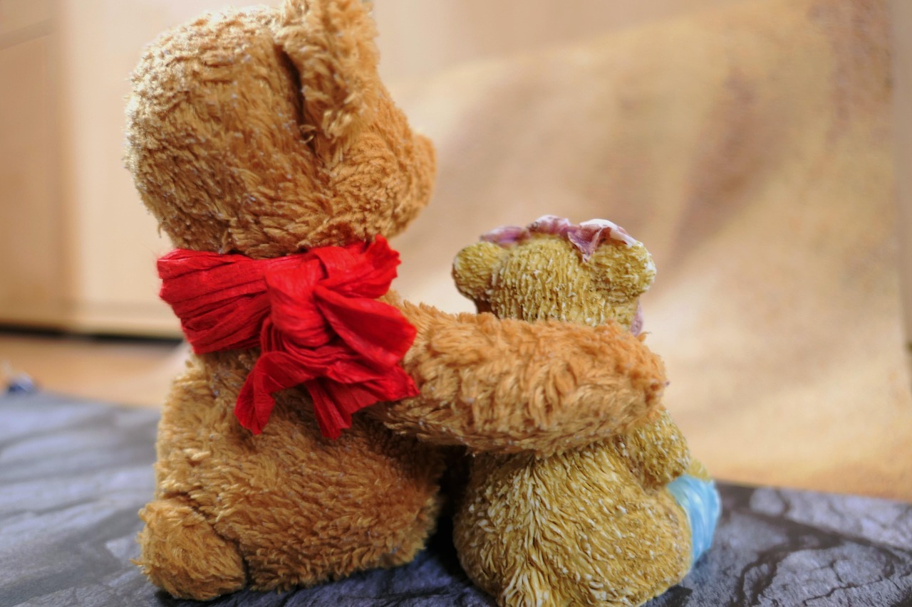 Christmas Teddy Bear Images