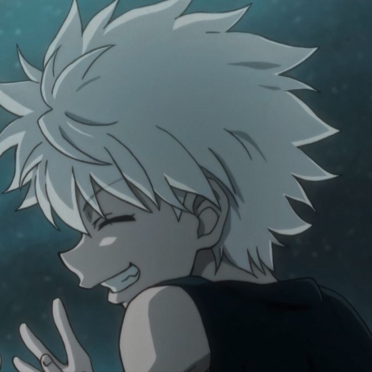 Hunter x Hunter Pfp