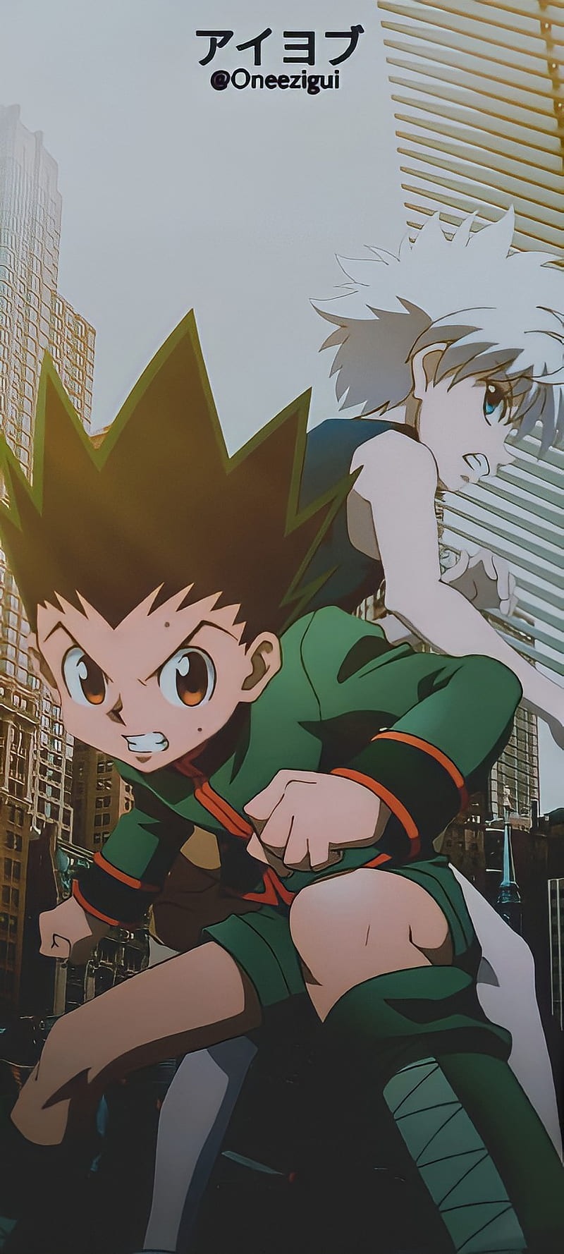 Hunter x Hunter Pfp