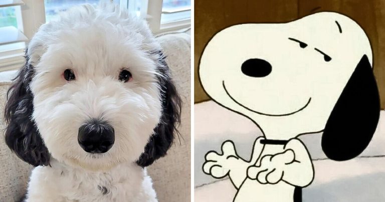 Snoopy Pfp