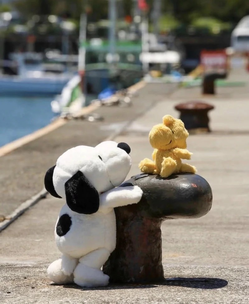 Snoopy Pic