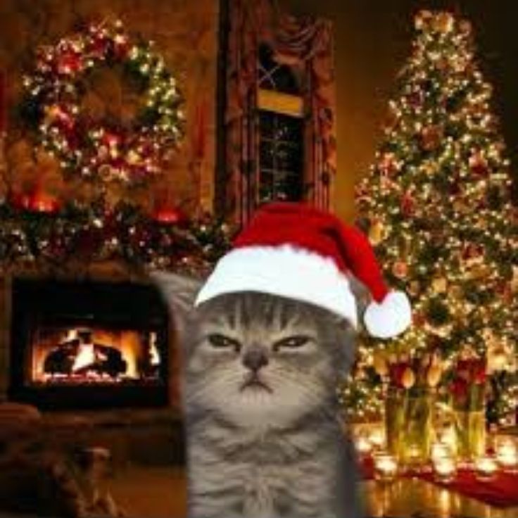 Christmas Holiday Christmas Holiday