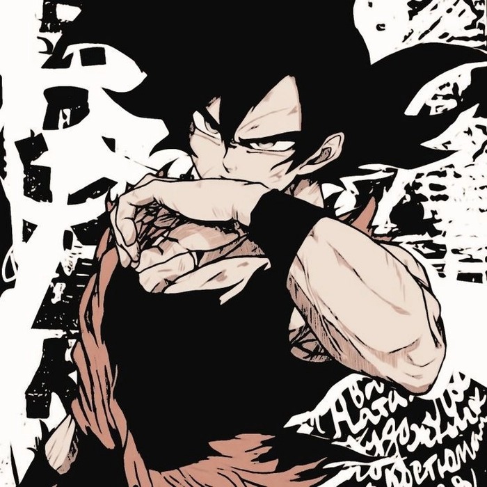 Son Goku Pfp